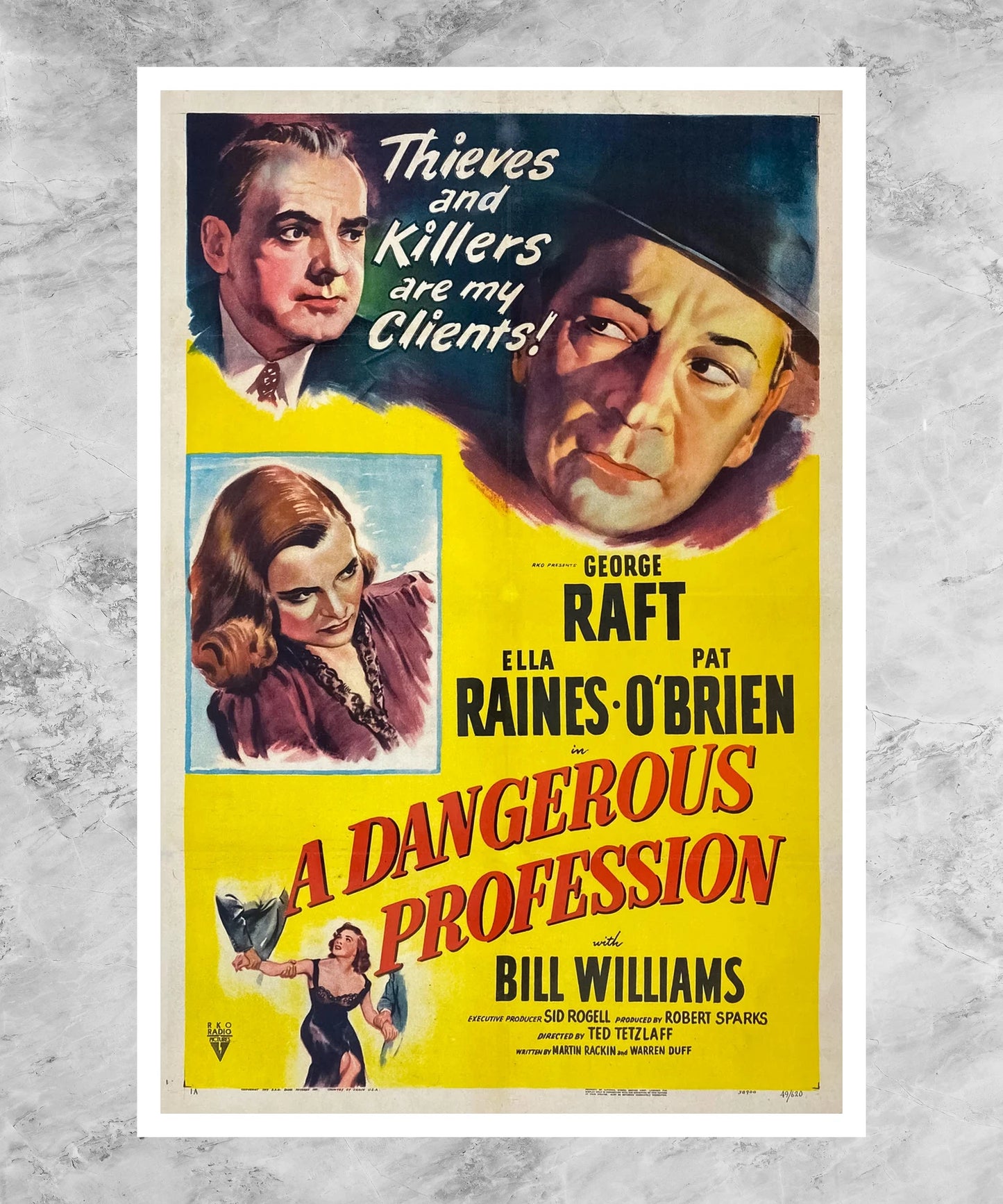 A Dangerous Profession Poster