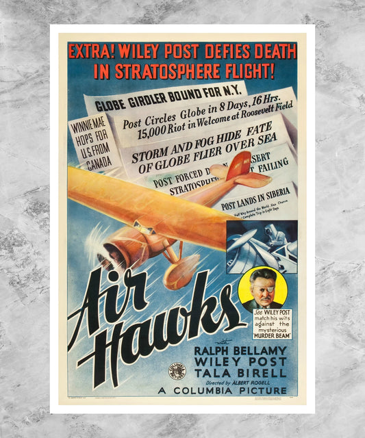 Air Hawks Poster