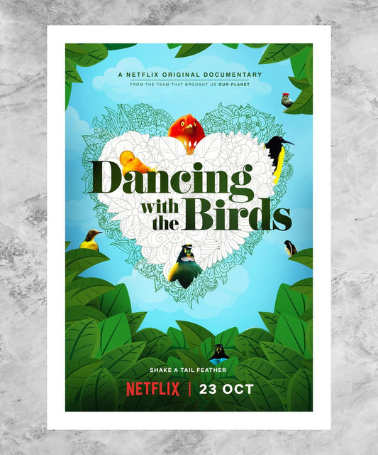 Dancing with the Birds Poster