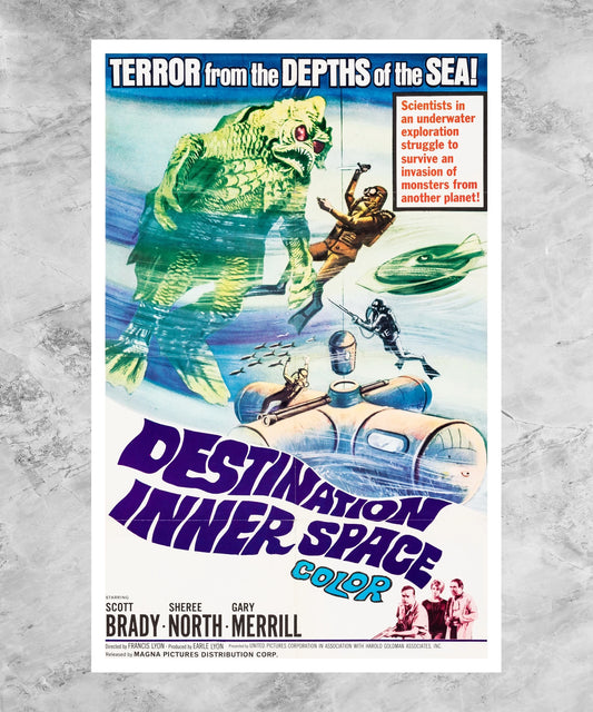 Destination Inner Space Poster
