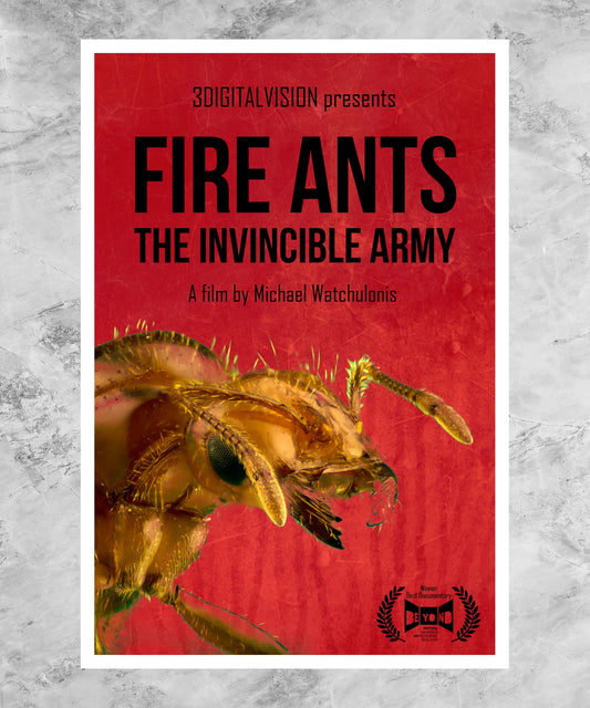 Fire Ants 3D: The Invincible Army Poster