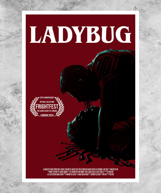 Ladybug Poster