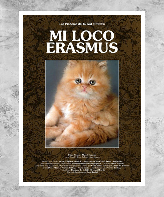 Mi loco Erasmus Poster