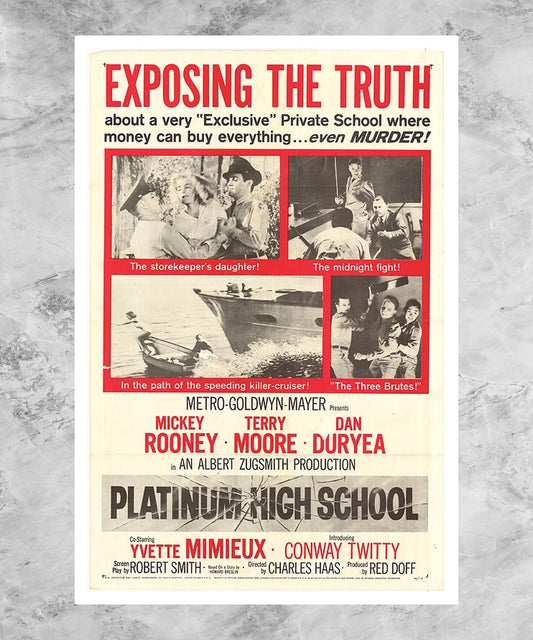 Platinum High School Poster