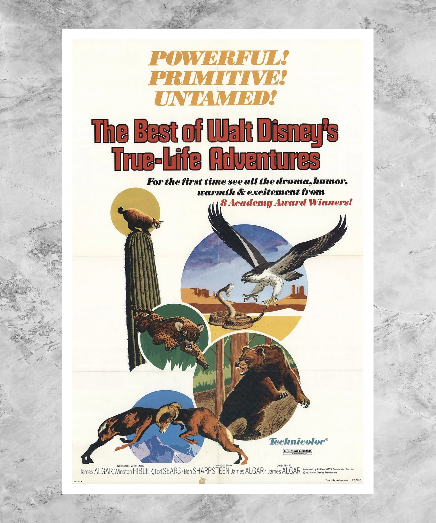 The Best of Walt Disney's True-Life Adventures Poster