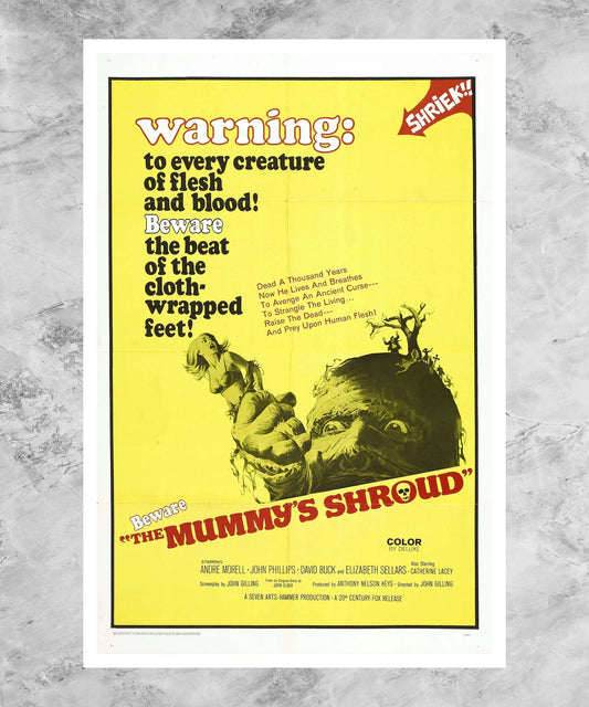 The Mummy's Shroud Poster