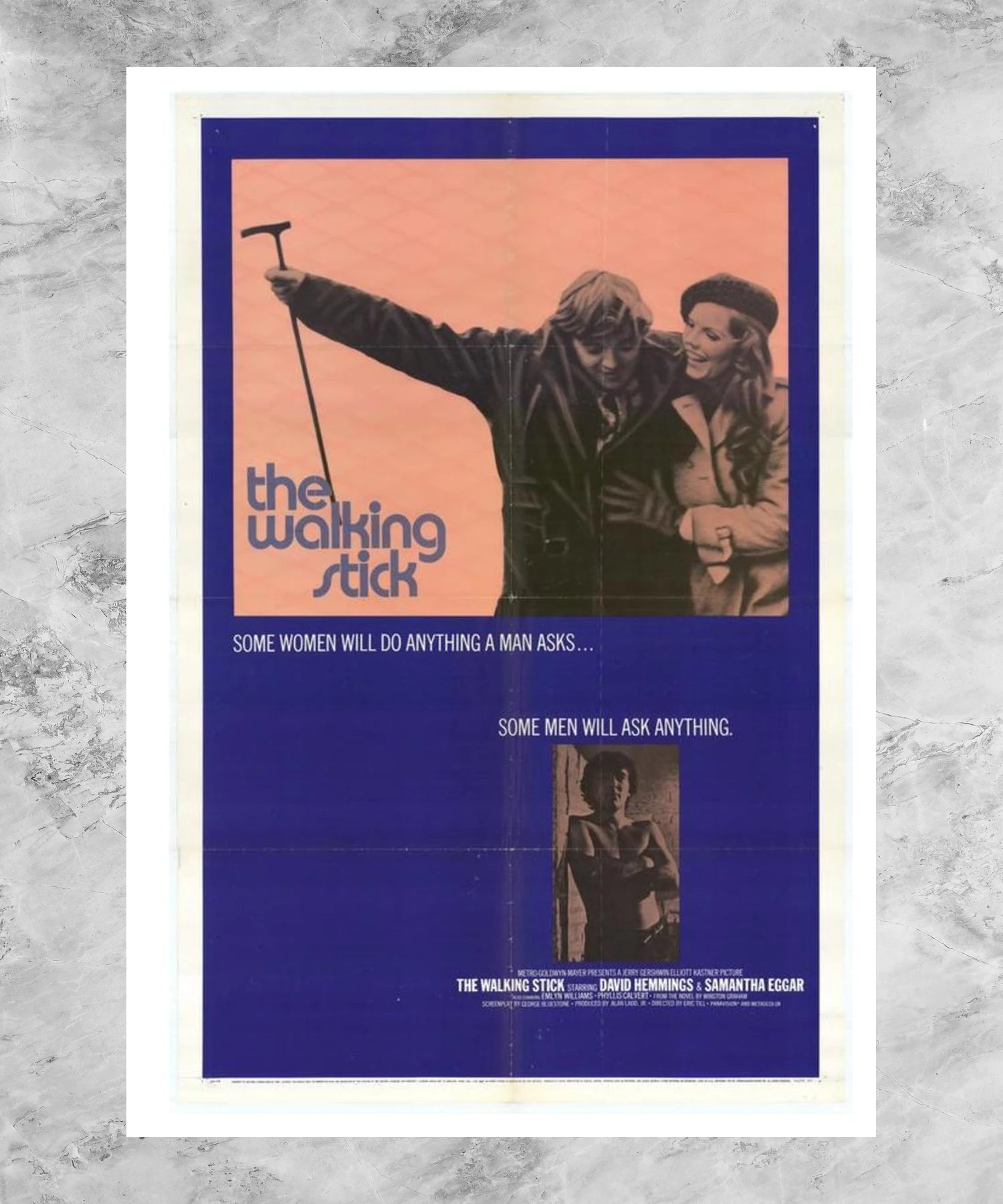 The Walking Stick Poster