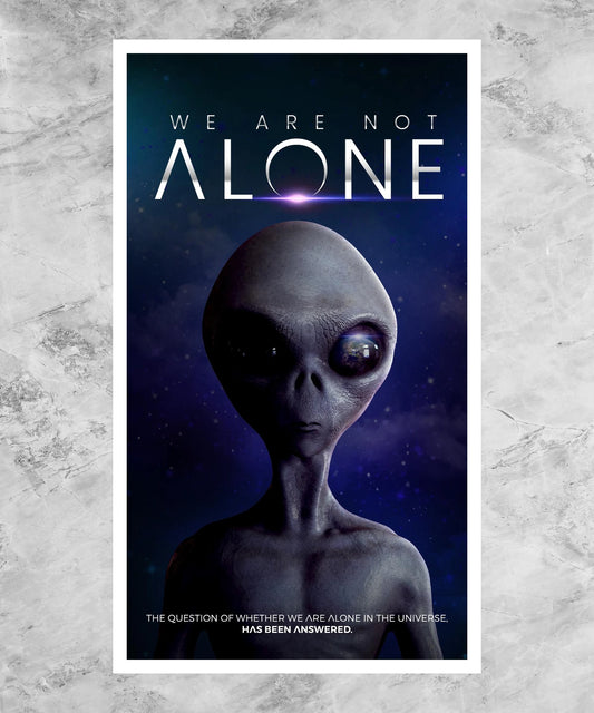 We Are Not Alone Poster